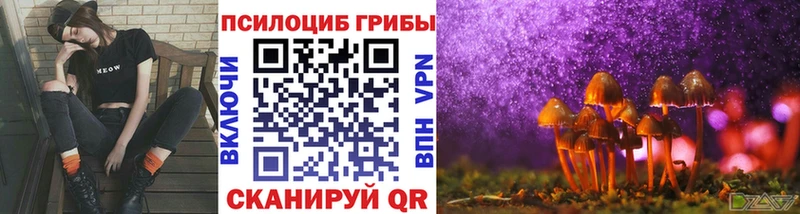 где можно купить   Вятские Поляны  Галлюциногенные грибы ЛСД 